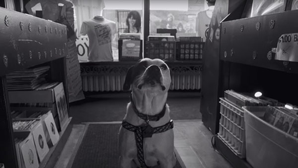 The Replacements "Takin' A Ride" music video